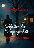 Schatten der Vergangenheit (eBook, ePUB)