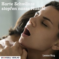 Cover Harte Schwänze stopfen nasse Muschi (MP3-Download)