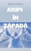 ARIPI ÎN ZAPADA (eBook, ePUB)