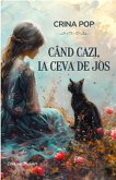Când cazi, ia ceva de jos (eBook, ePUB) Când cazi, ia ceva de jos (eBook, ePUB)
