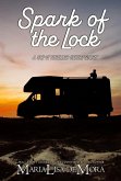 Spark of the Lock (eBook, ePUB)