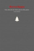 Breves fuegos (eBook, ePUB)