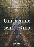 Um Menino sem Destino: Do Abandono ao Bem-Sucedido Advogado (eBook, ePUB)