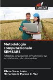 Metodologia computazionale SEMEARE