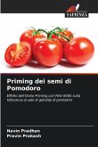 Priming dei semi di Pomodoro