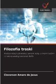 Filozofia troski