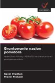 Gruntowanie nasion pomidora