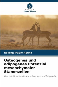 Osteogenes und adipogenes Potenzial mesenchymaler Stammzellen Cover Osteogenes und adipogenes Potenzial mesenchymaler Stammzellen