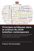 Principes juridiques dans la science du droit brésilien contemporain