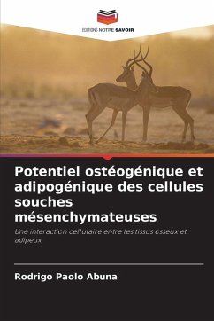 Potentiel ostéogénique et adipogénique des cellules souches mésenchymateuses - Abuna, Rodrigo Paolo