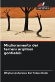Miglioramento dei terreni argillosi gonfiabili