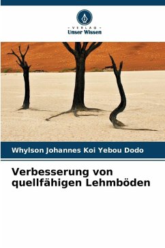 Verbesserung von quellfähigen Lehmböden Cover Verbesserung von quellfähigen Lehmböden
