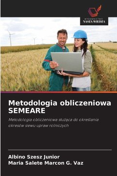 Cover Metodologia obliczeniowa SEMEARE