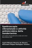 Spettroscopia vibrazionale e attività antimicrobica della Sonderianina