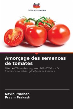 Amorçage des semences de tomates - Pradhan, Navin;Prakash, Pravin
