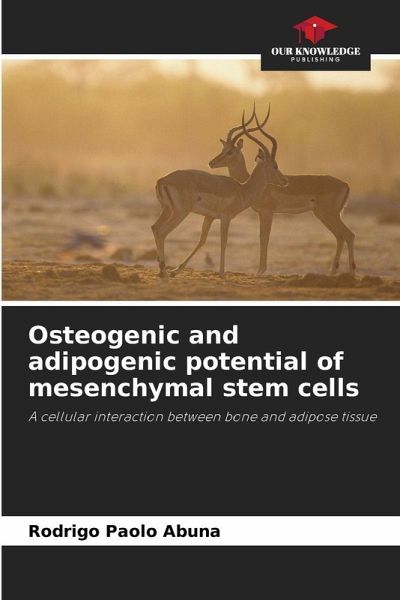Osteogenic and adipogenic potential of mesenchymal stem cells