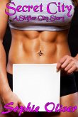 Secret City: A Shifter City Story (eBook, ePUB)
