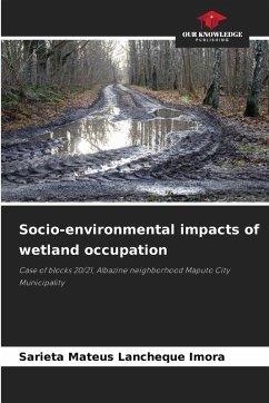Socio-environmental impacts of wetland occupation Cover Socio-environmental impacts of wetland occupation