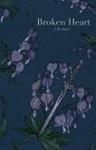 Broken Heart Broken Heart