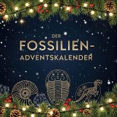 Der Fossilien-Adventskalender