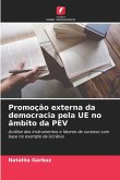 Promoção externa da democracia pela UE no âmbito da PEV