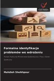 Formalna identyfikacja problemów we wdro¿eniu