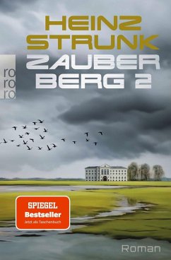 Cover Zauberberg 2