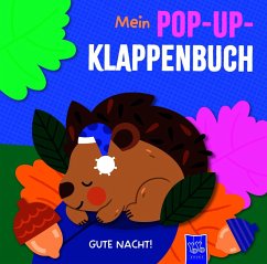 Cover Mein Pop-Up-Klappenbuch - Gute Nacht