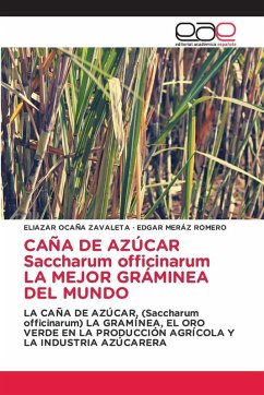 Cover CAÑA DE AZÚCAR Saccharum officinarum LA MEJOR GRÁMINEA DEL MUNDO