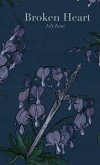 Broken Heart Broken Heart