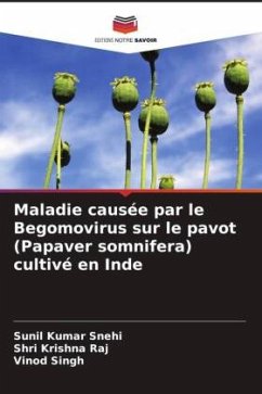 Cover Maladie causée par le Begomovirus sur le pavot (Papaver somnifera) cultivé en Inde