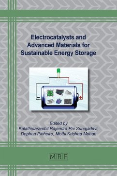 Electrocatalysts and Advanced Materials for Sustainable Energy Storage