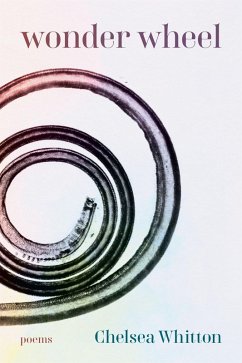 Cover Wonder Wheel (eBook, ePUB)