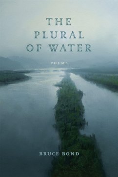 Cover The Plural of Water (eBook, ePUB)