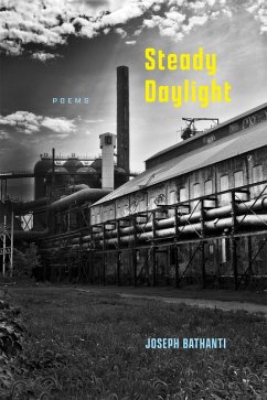 Cover Steady Daylight (eBook, ePUB)