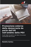 Promozione esterna della democrazia da parte dell'UE nell'ambito della PEV