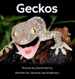 Cover Geckos