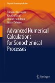 Advanced Numerical Calculations for Sonochemical Processes (eBook, PDF) Advanced Numerical Calculations for Sonochemical Processes (eBook, PDF)