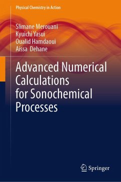 Cover Advanced Numerical Calculations for Sonochemical Processes (eBook, PDF)