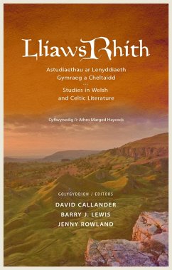 Lliaws Rhith (eBook, PDF)