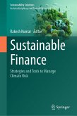 Sustainable Finance (eBook, PDF)
