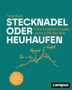 Stecknadel oder Heuhaufen (eBook, PDF) - Buck, Simon
