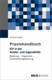 Praxishandbuch ICF in der Kinder- und Jugendhilfe (eBook, ePUB)