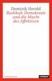 Radikale Demokratie und die Macht des Affektiven (eBook, PDF)