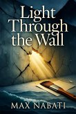 Light Through The Wall (Larger Mosaic, #4) (eBook, ePUB)