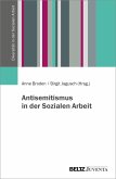 Antisemitismus in der Sozialen Arbeit (eBook, PDF)