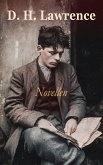 D. H. Lawrence - Novellen (eBook, ePUB)