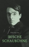 Irische Schaubühne (eBook, ePUB)