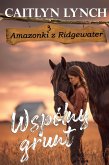 Wspólny grunt (Amazonki z Ridgewater, #3) (eBook, ePUB)