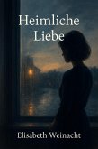 Heimliche Liebe (eBook, ePUB)